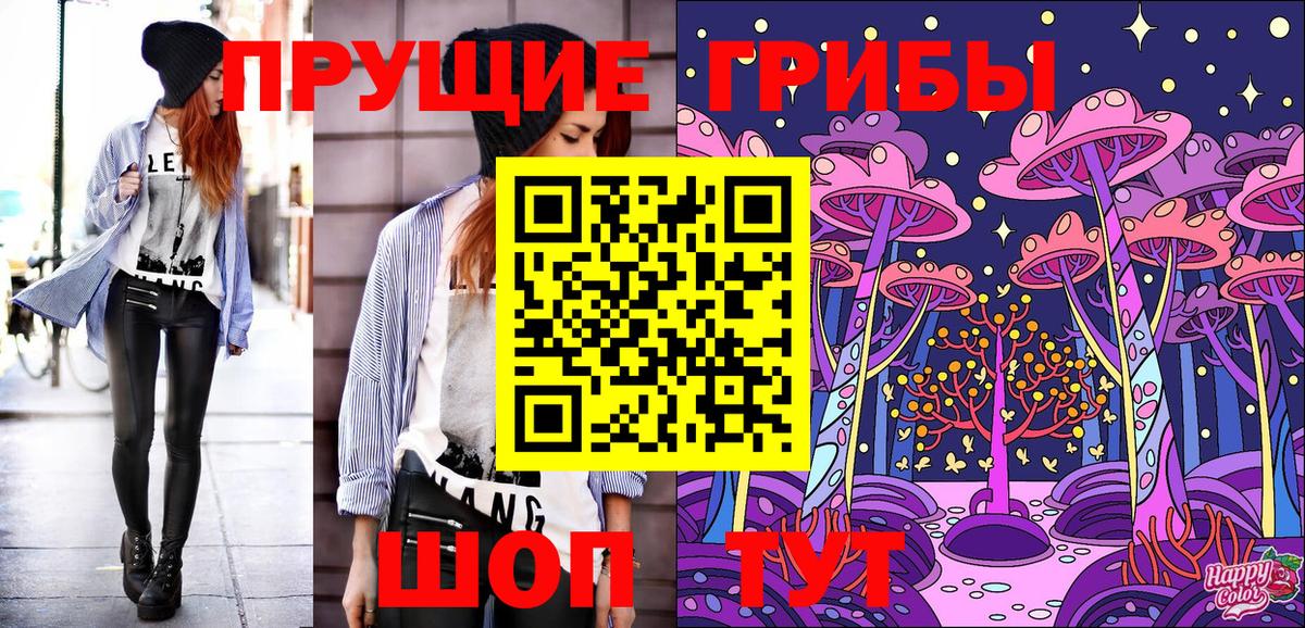 Серов  Псилоцибиновые грибы Psilocybine cubensis  Вход с VPN 