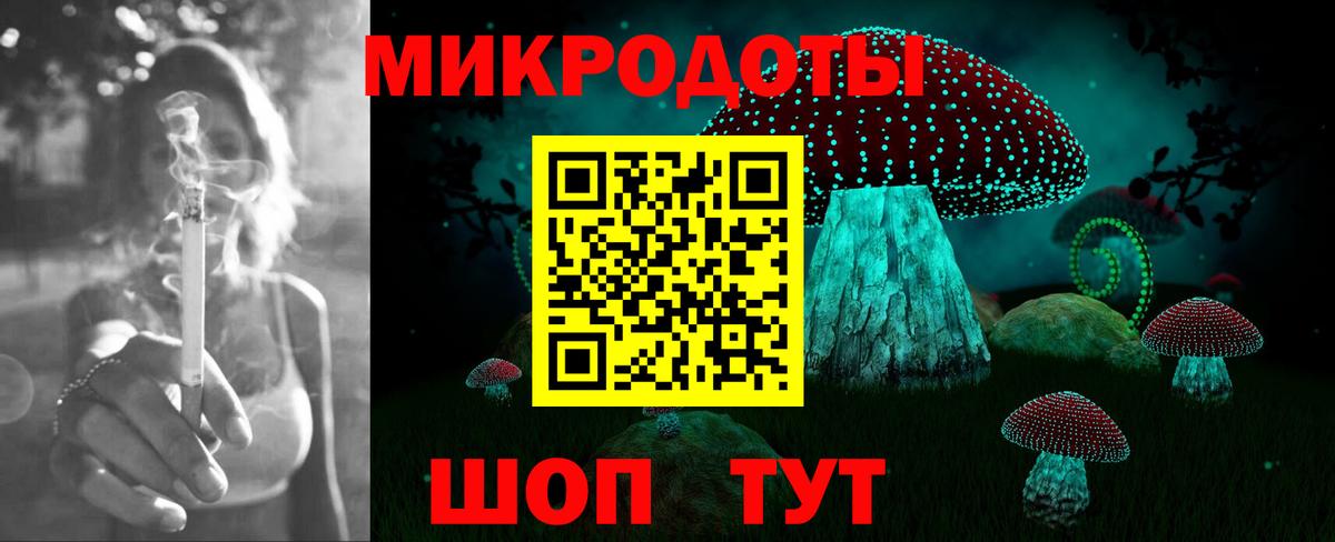 Галлюциногенные грибы Cubensis Серов